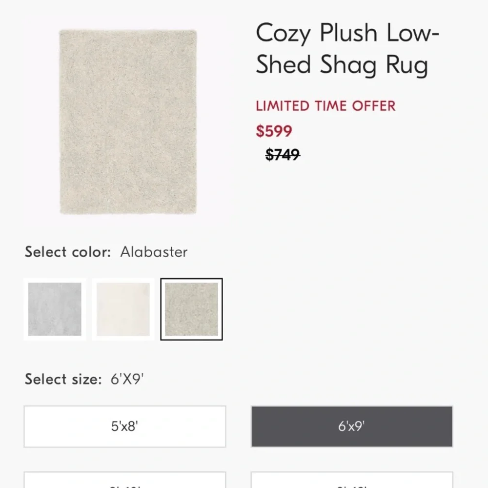 (2) West Elm 6x9 ‘Cozy Plush Rugs’